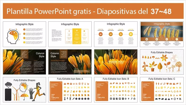 Flores Plantilla PowerPoint