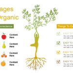 Alimentos Orgánicos Plantilla PowerPoint