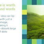 Cuadros Verdes Plantilla PowerPoint