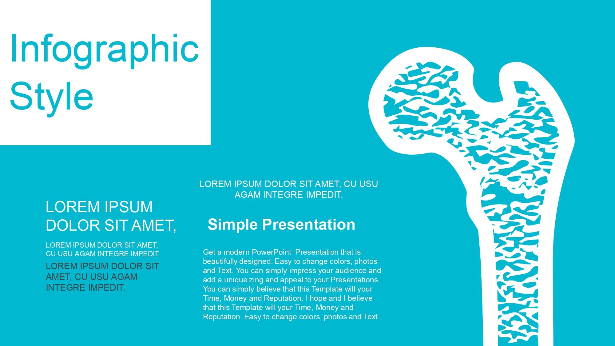 Sistema Óseo Plantilla PowerPoint