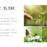 Cuidado del Medio Ambiente Plantilla PowerPoint