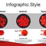 Hemorragia Plantilla PowerPoint
