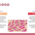 Histología Plantilla PowerPoint