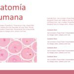 Histología Plantilla PowerPoint