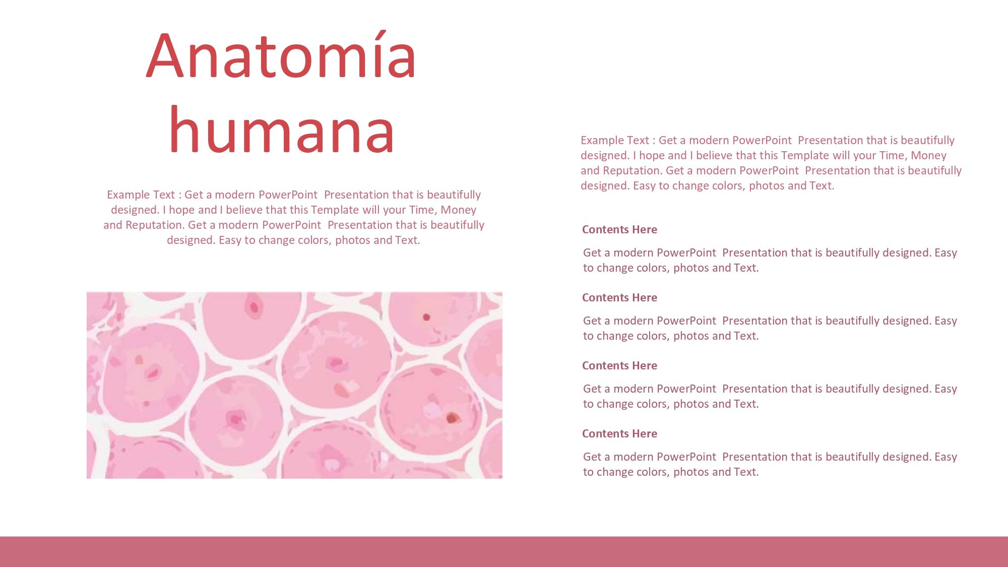 Histología Plantilla PowerPoint