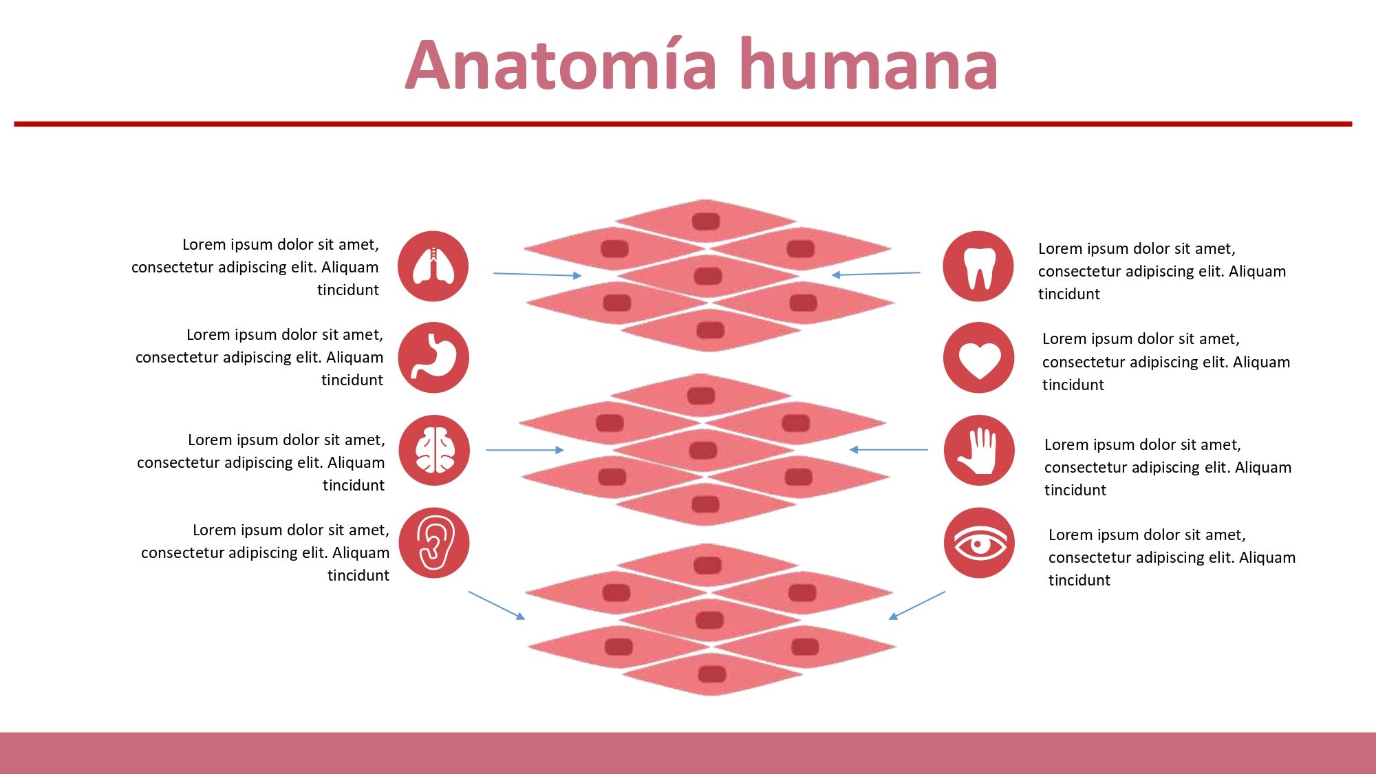 Histología Plantilla PowerPoint