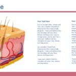 Histología Plantilla PowerPoint