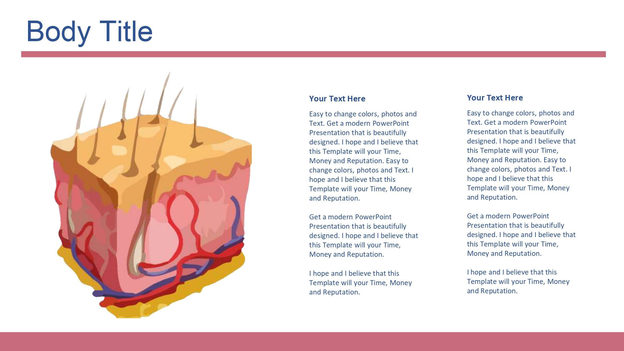 Histología Plantilla PowerPoint