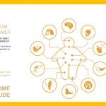 Obesidad Plantilla PowerPoint
