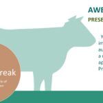 Vaca Plantilla PowerPoint
