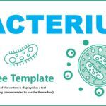 Bacterias Plantilla PowerPoint