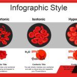 Hematología Plantilla PowerPoint
