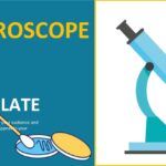 Microscopio Plantilla PowerPoint