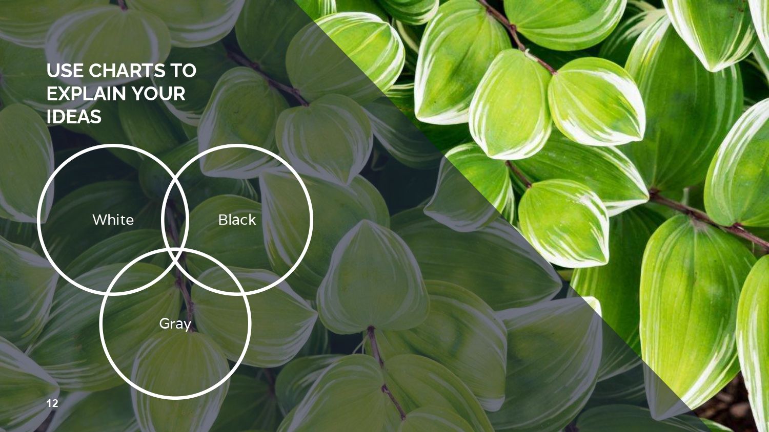 Plantilla PowerPoint Estilo Fotográfico
