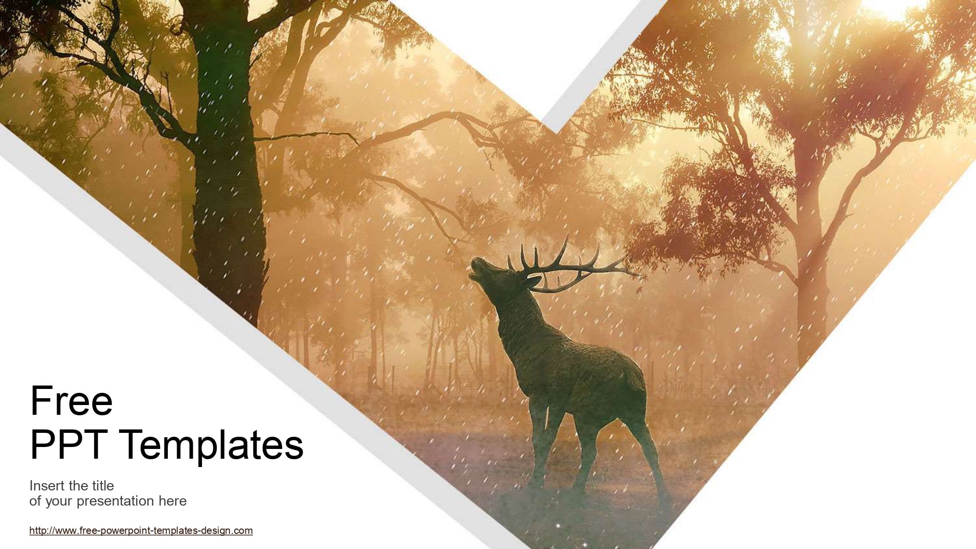 Plantilla PowerPoint de Bosque
