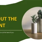 Plantilla PowerPoint de Maceta