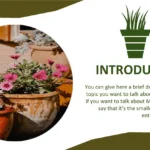 Plantilla PowerPoint de Maceta