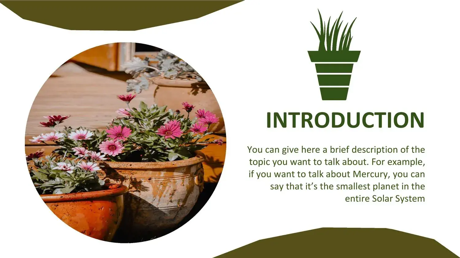 Plantilla PowerPoint de Maceta