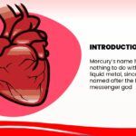 Corazón Humano Plantilla PowerPoint