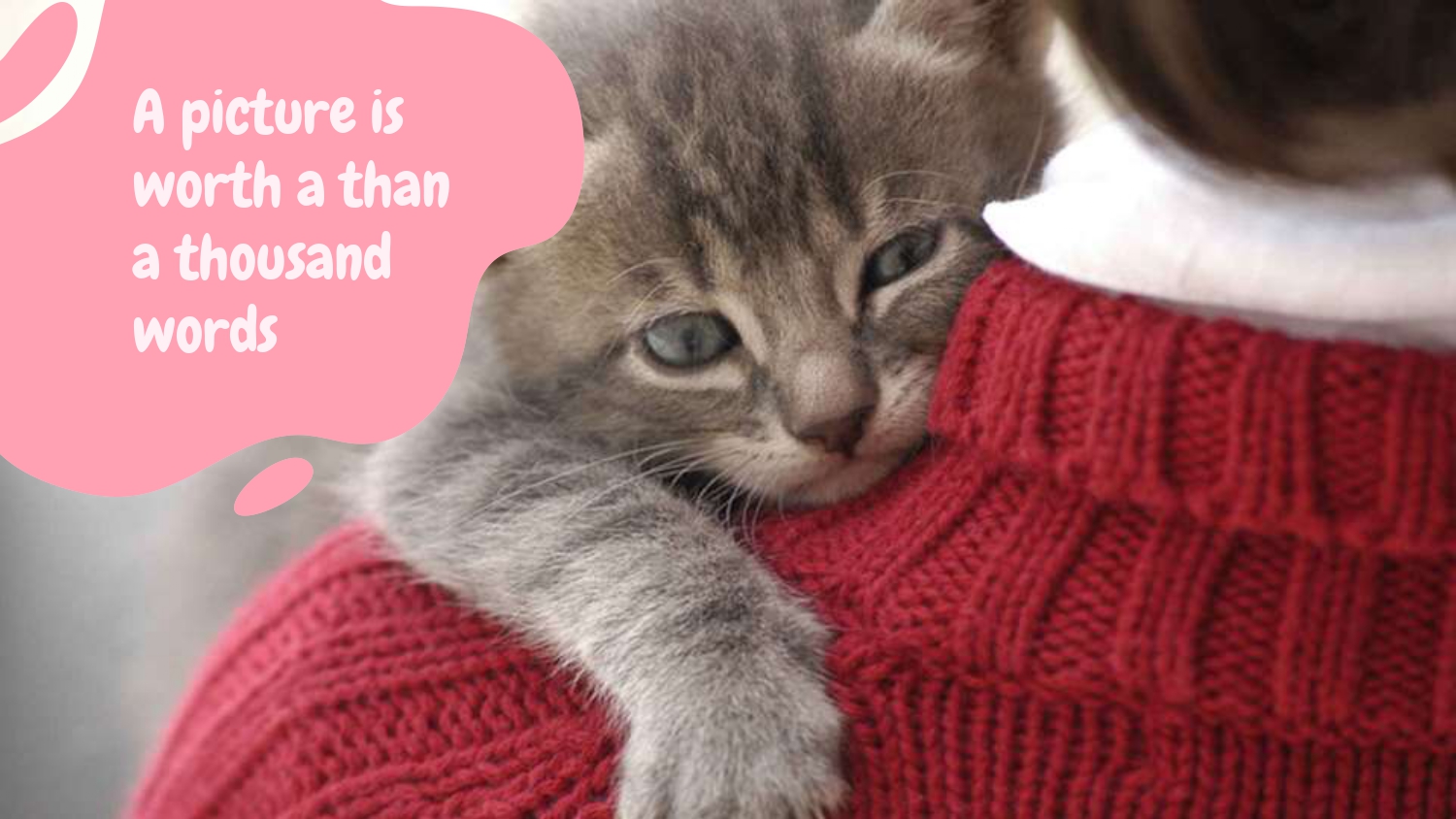 Gatos Plantilla PowerPoint