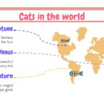 Gatos Plantilla PowerPoint