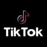 TikTok Plantilla PowerPoint