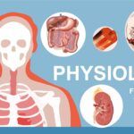 Fisiología Plantilla PowerPoint