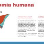 Fisiología Plantilla PowerPoint