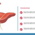 Fisiología Plantilla PowerPoint