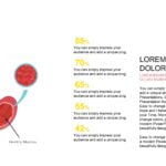 Estomago Plantilla PowerPoint