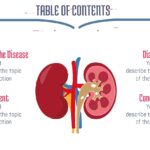 Riñón Humano Plantilla PowerPoint