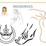 Podología Plantilla PowerPoint