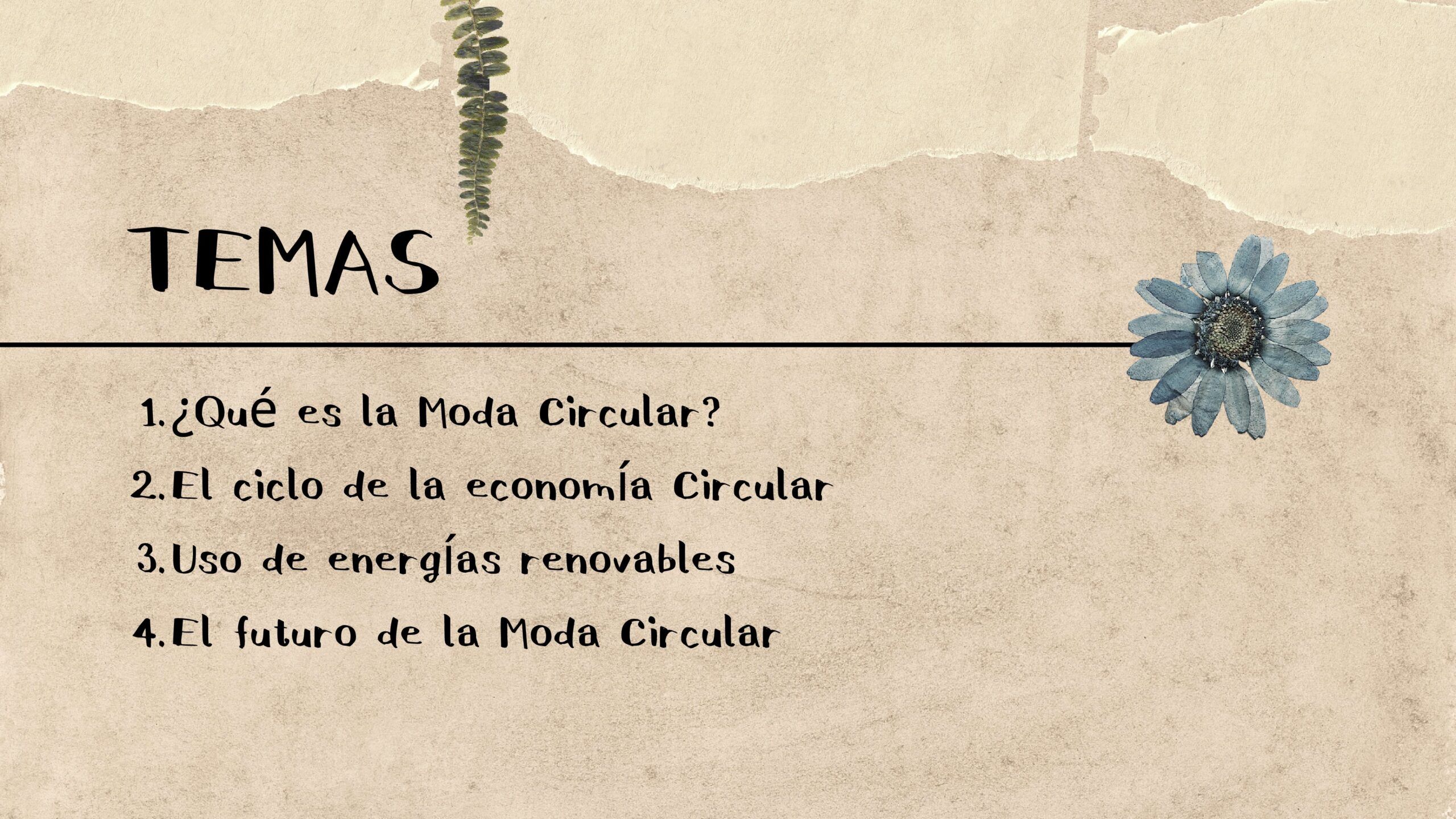 Moda Circular Plantilla PowerPoint