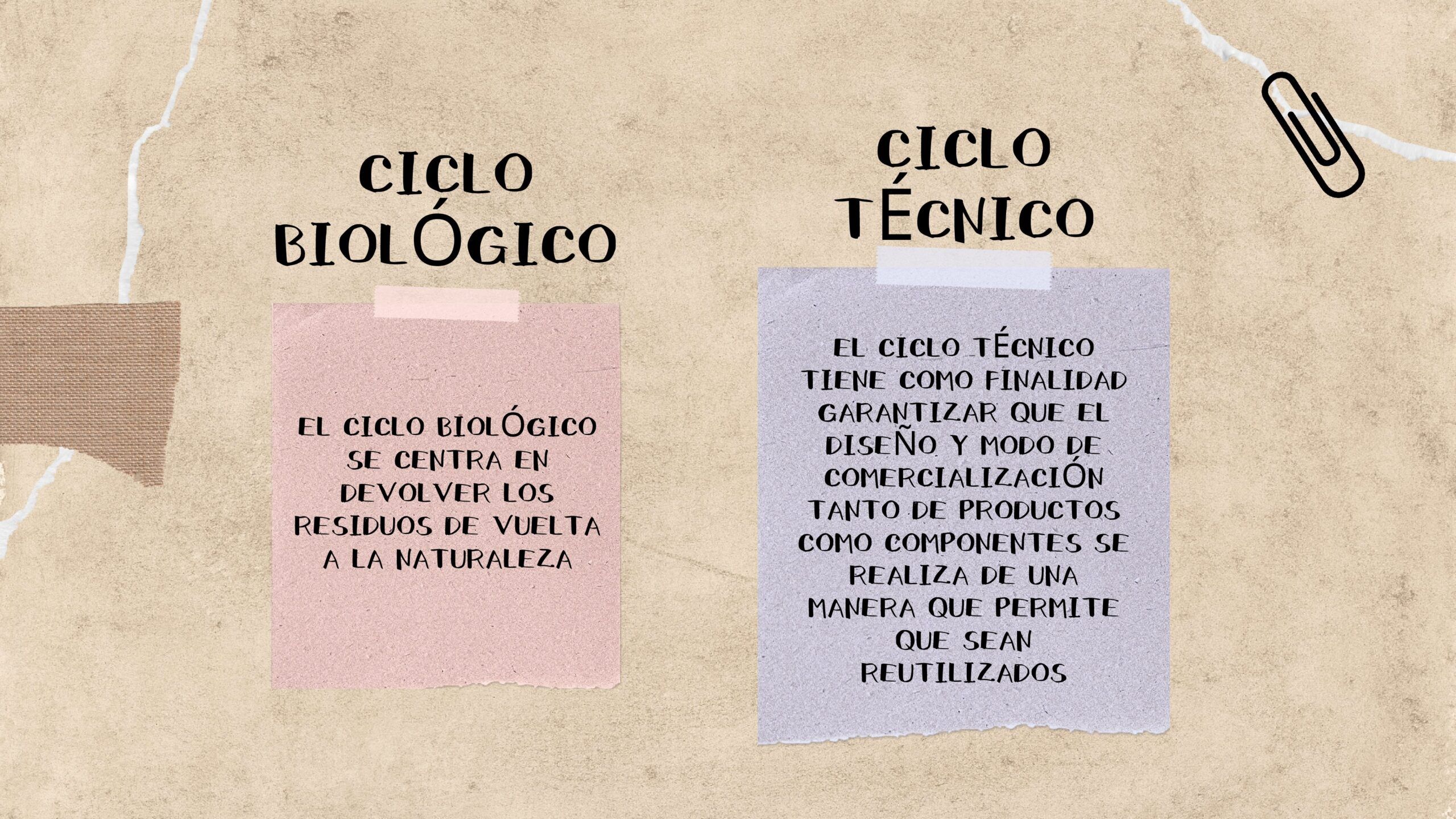 Moda Circular Plantilla PowerPoint