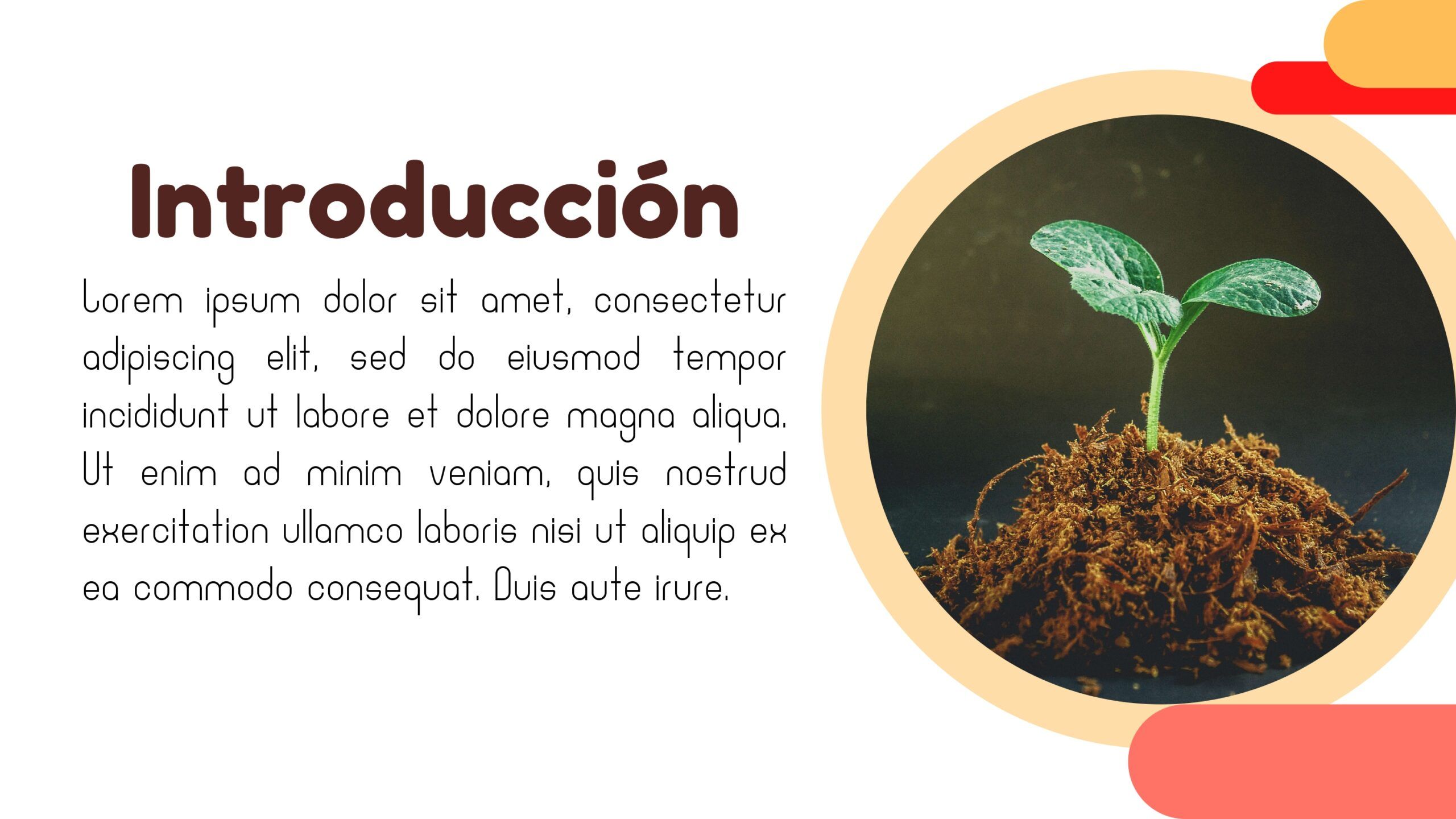 Plantilla PowerPoint de Presentación de Proyectos