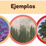 Plantilla PowerPoint de Presentación de Proyectos
