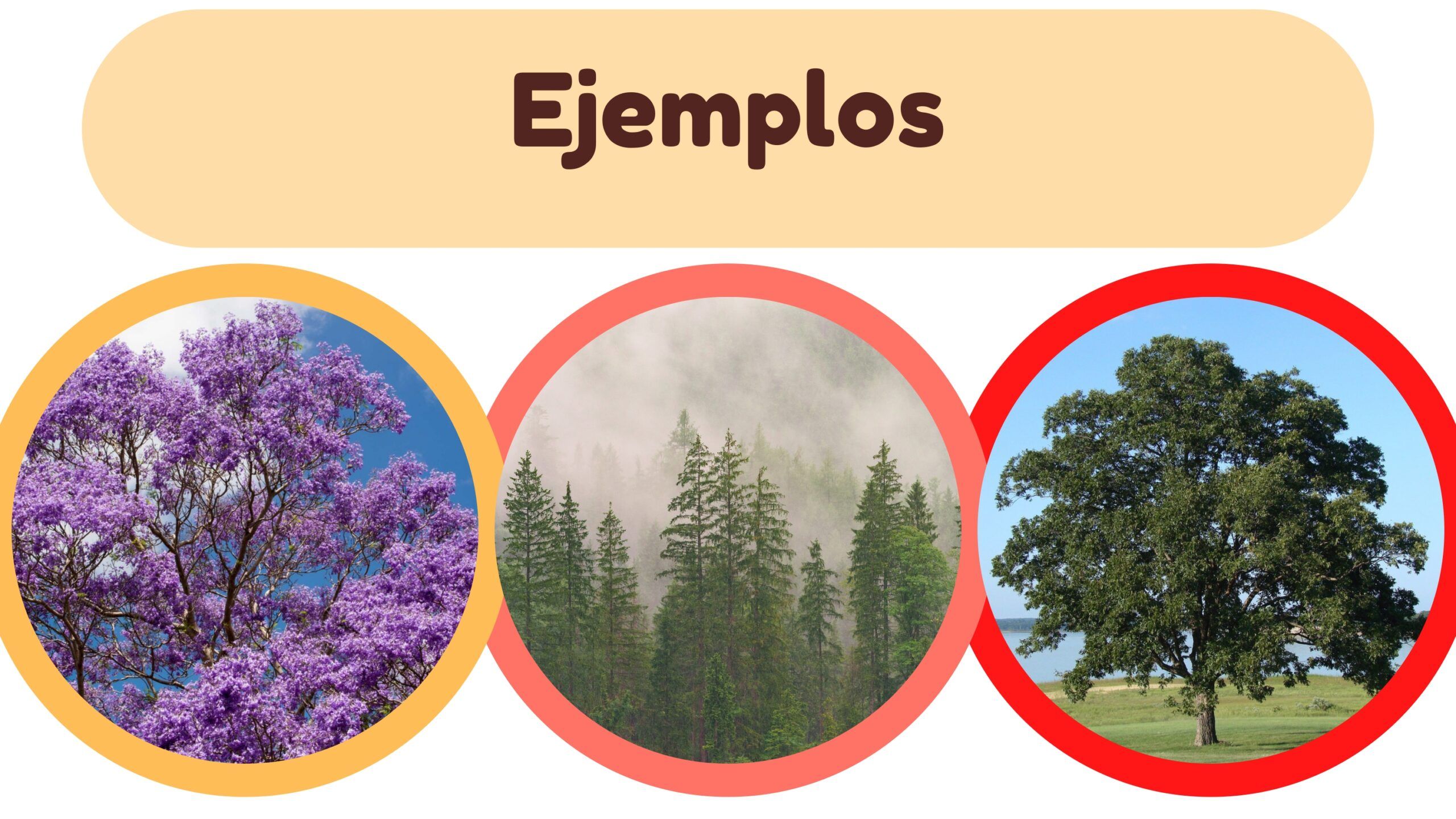 Plantilla PowerPoint de Presentación de Proyectos