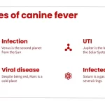Plantillas PowerPoint de ClĂnica Veterinaria