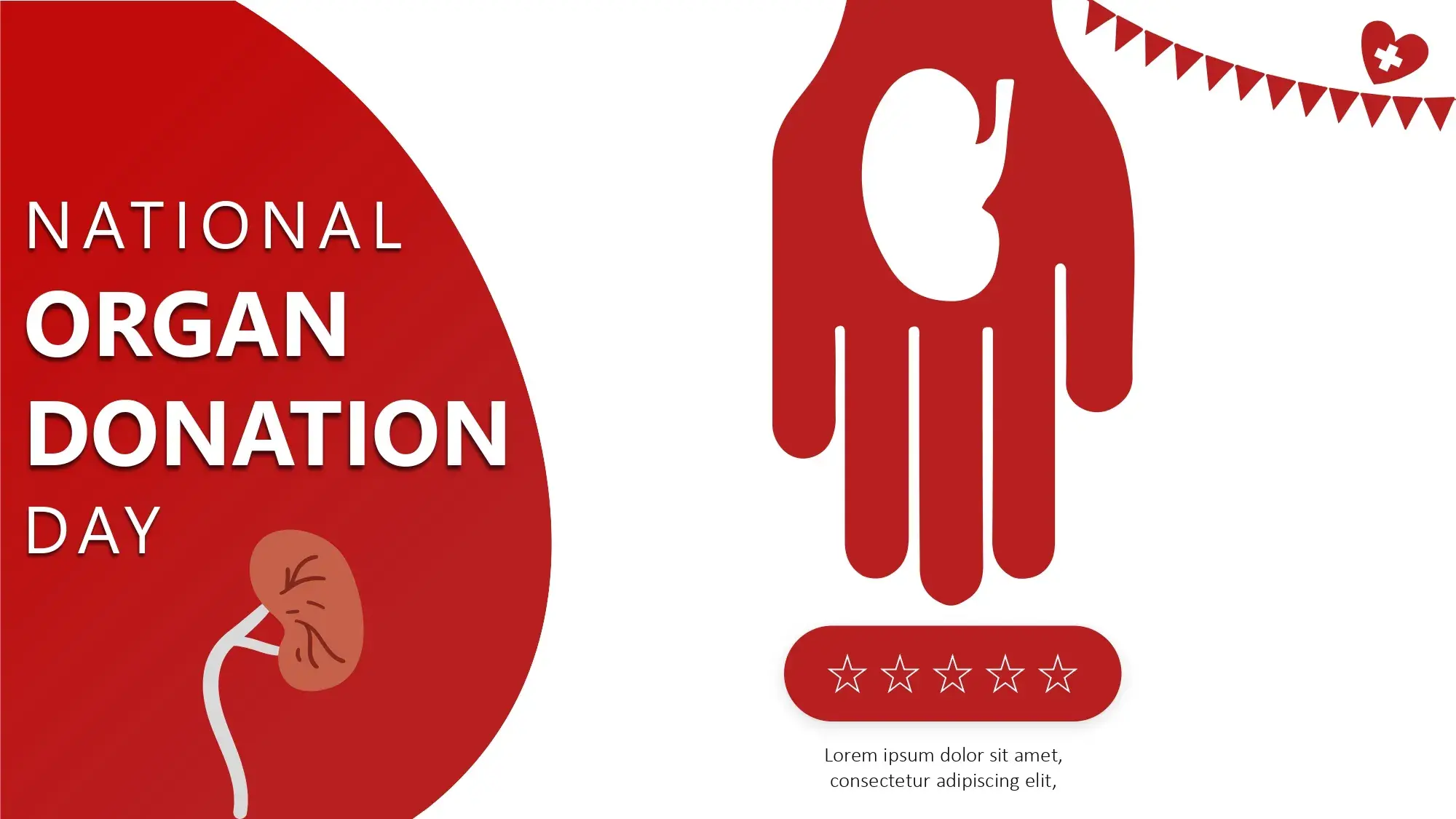 Día Nacional de la Donación de Órganos