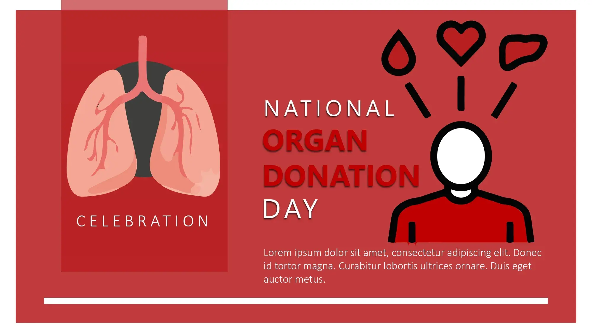 Día Nacional de la Donación de Órganos