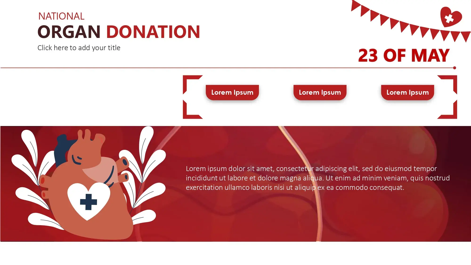 Día Nacional de la Donación de Órganos
