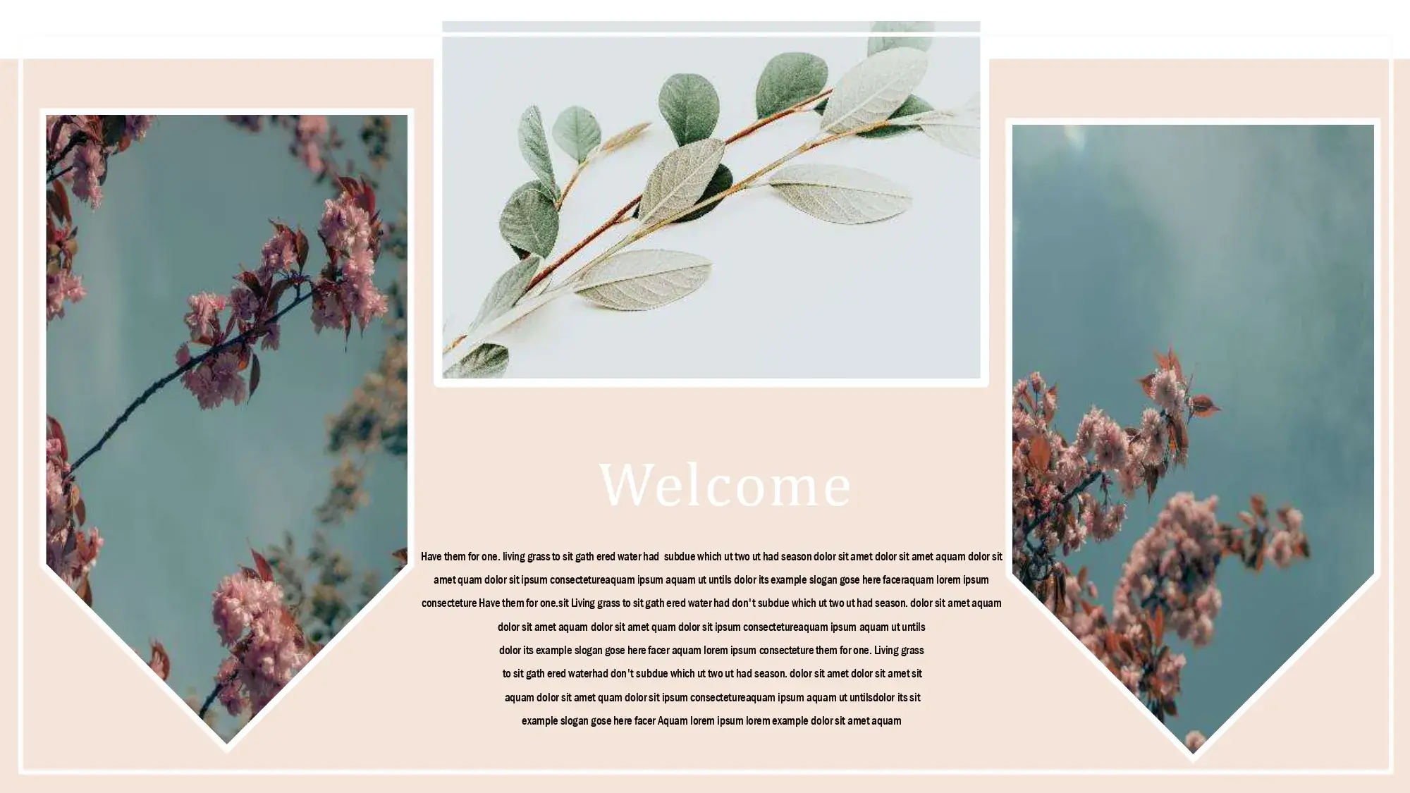 Plantillas PowerPoint Aesthetic Minimalista