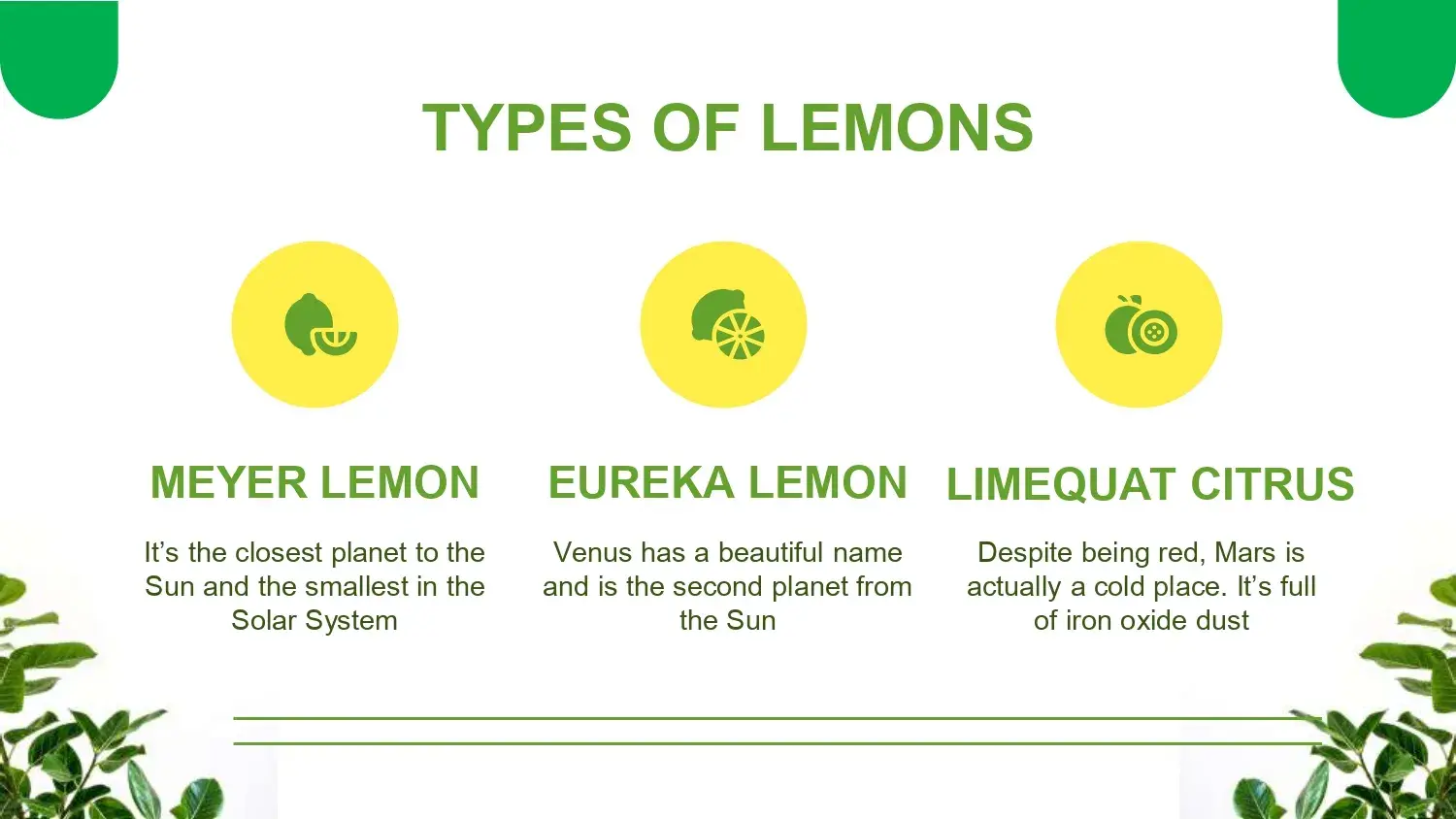 Plantillas PowerPoint sobre Plantas de Limón