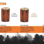 Plantilla PowerPoint sobre la Deforestación