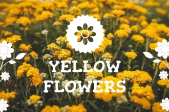 Plantilla PowerPoint de Flores Amarillas