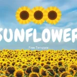 Plantilla PowerPoint de Girasoles