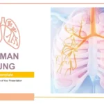 Plantilla PowerPoint de los Pulmones