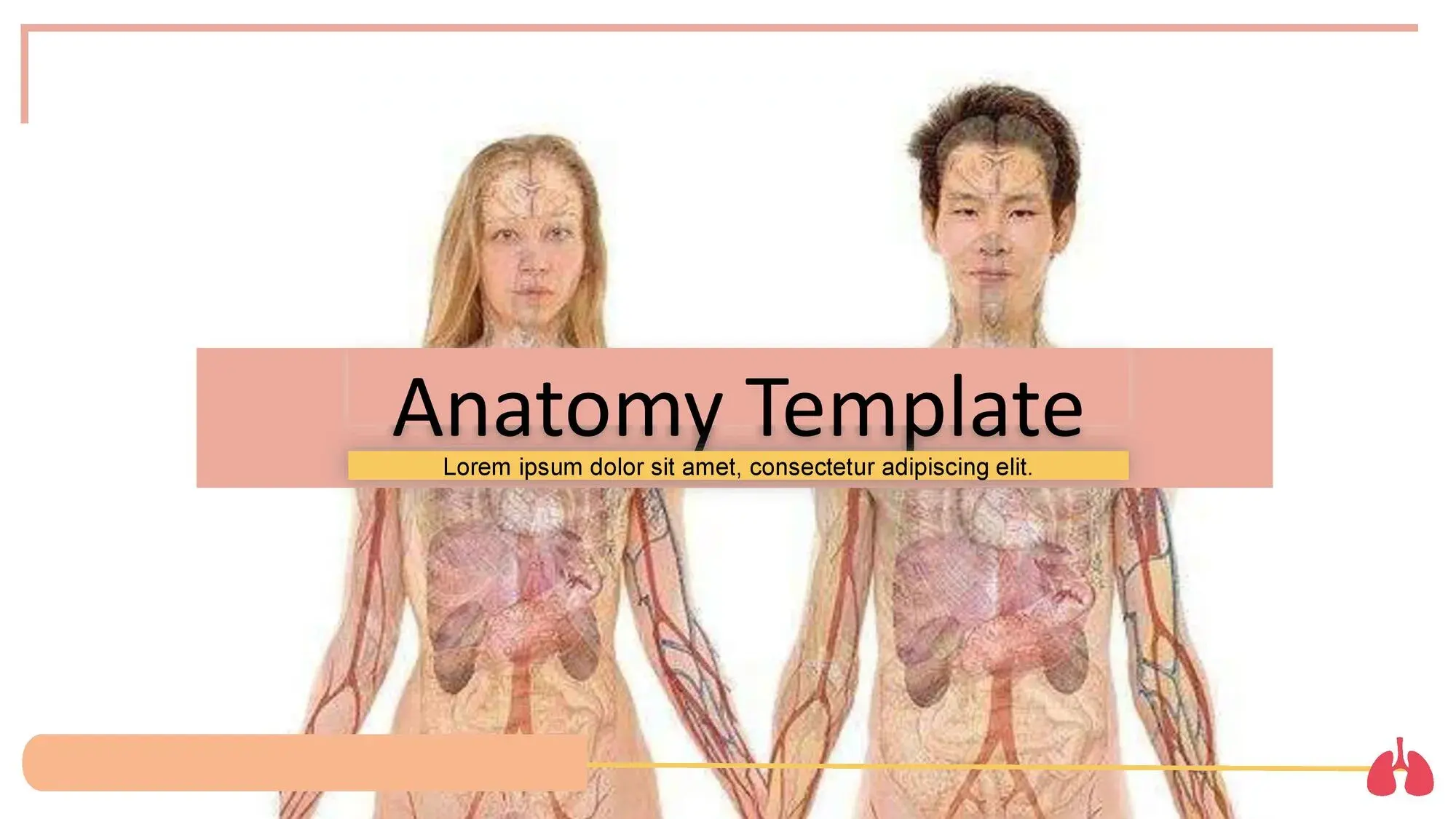 Plantilla PowerPoint de los Pulmones