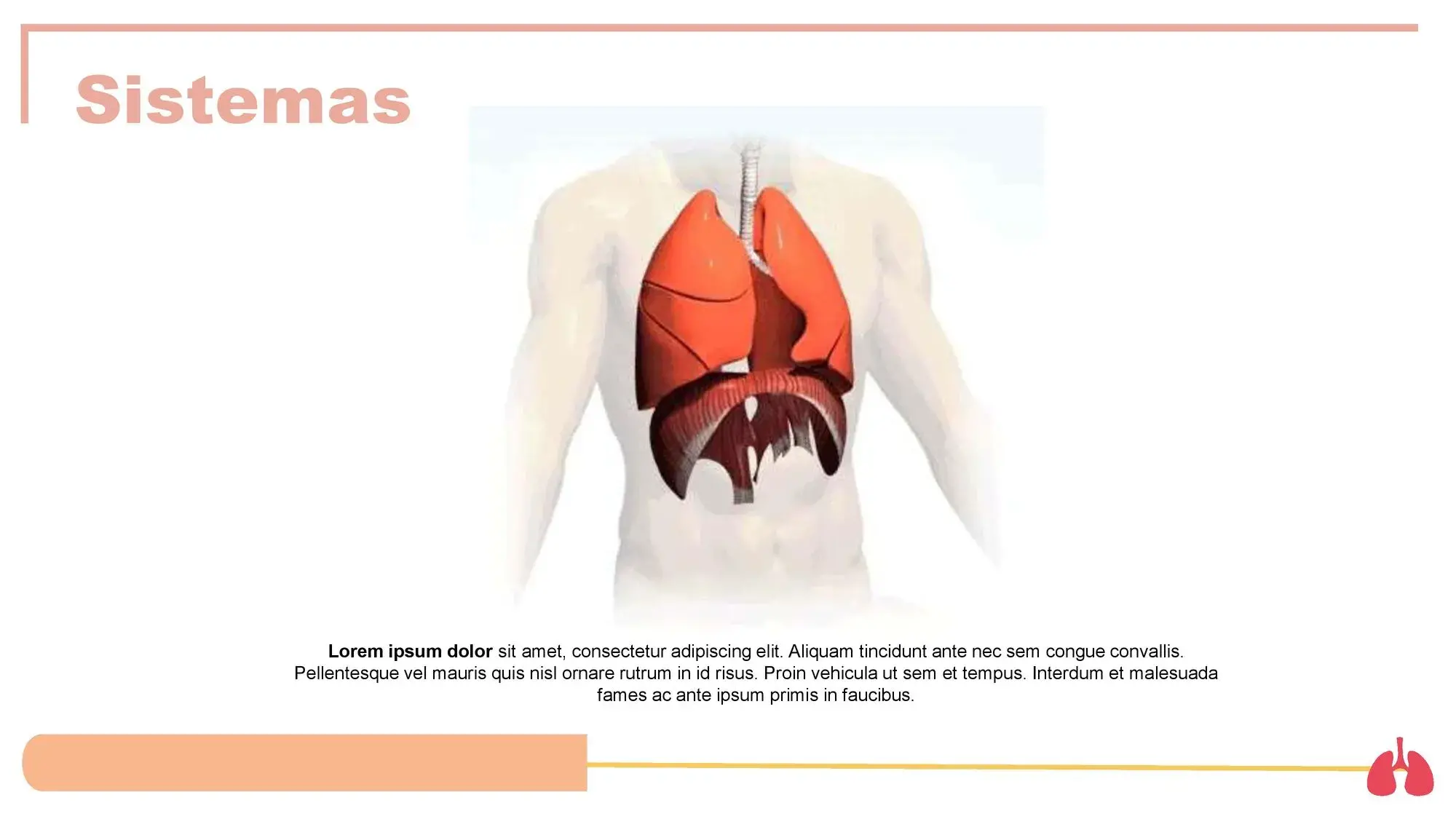Plantilla PowerPoint de los Pulmones